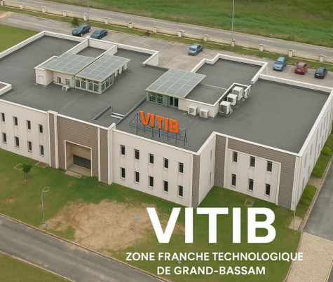 VITIB Team